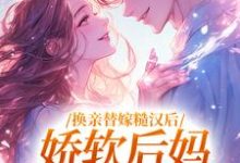 主角是沈念姝陆少钦的小说换亲替嫁糙汉后,娇软后妈太好孕在哪免费看-维C文学