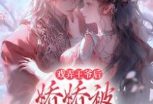 戏弄王爷后,娇娇被强取豪夺了免费阅读,叶青芜裴玉珩大结局无弹窗-维C文学