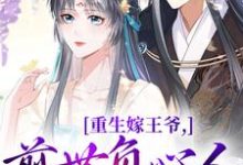 完结版重生嫁王爷，前世负心人竟是我？在哪免费看，沈挽谢景御小说在线阅读-维C文学