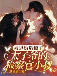 小说被退婚后撩了太子爷的检察官小叔主角陆砚昇乔曦免费阅读