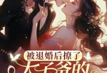 被退婚后撩了太子爷的检察官小叔大结局,陆砚昇乔曦小说无广告阅读-维C文学