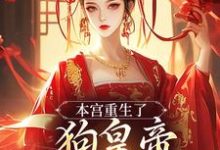 本宫重生了，狗皇帝你等着瞧！免费阅读，张承佑周明婉大结局无弹窗-维C文学