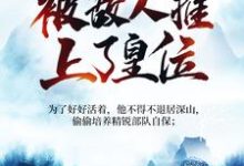 被追杀的我,被敌人推上了皇位热门小说(夏天司马兰)在线阅读无弹窗-维C文学