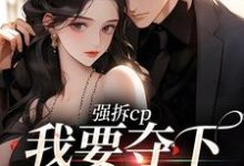 强拆cp，我要夺下这总裁热门小说(商扶砚符诱安)在线阅读无弹窗-维C文学