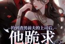 苏锦萧云锋在线阅读,钓到渣男前夫的上司后,他跪求放过小说完结版章节-维C文学