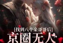 叶小汐叶以辰最新章节列表找到八个亲哥哥后,京圈无人敢惹她免费阅读-维C文学