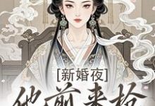 精彩章节阅读新婚夜，他前来抢夺我的心(温棠谢云州)免费小说在线看-维C文学