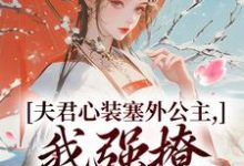 主角是叶锦意萧凛渊的小说夫君心装塞外公主,我强撩也能到手在哪免费看-维C文学