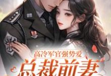 高冷军官强势爱,总裁前妻立马改嫁(杨念念陆文彬)最新章节免费在线阅读-维C文学