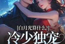 小说白月光算什么？冷少独宠拍卖师！主角宋词慕景川免费阅读-维C文学