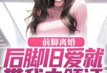前脚离婚,后脚旧爱就带我去领证(主角陆沉苏婉清)完结版免费阅读-维C文学