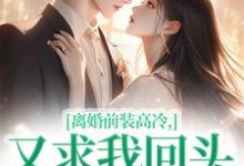 主人公是苏念封承烬的小说离婚前装高冷，又求我回头做什么免费阅读-维C文学
