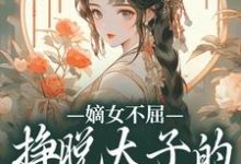 苏玉晚萧宴小说免费阅读最新章节列表，嫡女不屈，挣脱太子的暗夜枷锁小说在线看-维C文学