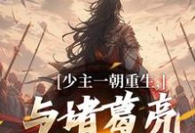 跪求主角是刘禅诸葛亮的小说书名叫什么-维C文学