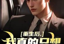 重生后,我真的只想做好事完结版叶白免费阅读大结局-维C文学