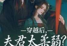跪求主角是沈微萧御衡的小说书名叫什么-维C文学