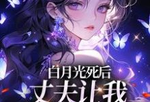 白月光死后,丈夫让我去给她赔罪热门小说(姜闪裴熠星)在线阅读无弹窗-维C文学