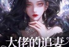 大佬的追妻火葬场:晚了,姐不稀罕免费阅读(姜沁笙纪怀舟)小说免费读最新章节-维C文学