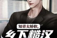 跪求主角是江诚周书晴的小说书名叫什么-维C文学