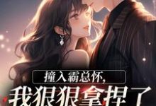 (全文)撞入霸总怀,我狠狠拿捏了他的心热门小说排行榜,撞入霸总怀,我狠狠拿捏了他的心徐漪沅贺岁聿全章小说阅读-维C文学