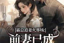 (全文)霸总追妻火葬场:前妻已成人间富贵花热门小说排行榜,霸总追妻火葬场:前妻已成人间富贵花秦桑傅霆深全章小说阅读-维C文学