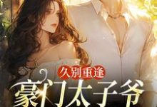 久别重逢,豪门太子爷他苦苦求宠完整版小说,久别重逢,豪门太子爷他苦苦求宠阮清月贺西楼全章小说阅读-维C文学