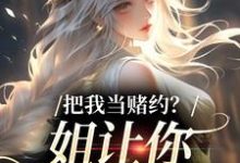 把我当赌约?姐让你跪地求饶热门小说排行榜把我当赌约?姐让你跪地求饶贺南序周初黎免费小说全本-维C文学