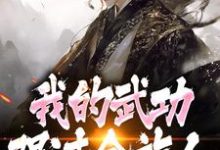 (全文)完了！我的武功强过全族人（林枫苏清雪）试读更新章节完了！我的武功强过全族人免费小说-维C文学