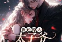 (全文)夜色撩人,太子爷为她乱了心楚璃徐砚周完结小说推荐夜色撩人,太子爷为她乱了心试读更新章节-维C文学