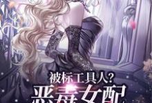 (全文)被标工具人?恶毒女配甩男主求自由宋以宁陆明聿最新完结小说被标工具人?恶毒女配甩男主求自由免费小说全本-维C文学