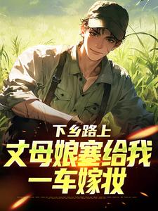(全文)下乡路上，丈母娘塞给我一车嫁妆完结小说推荐林辰宋雨全本书籍阅读