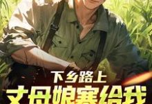 下乡路上,丈母娘塞给我一车嫁妆完整版小说,下乡路上,丈母娘塞给我一车嫁妆林辰宋雨全章小说阅读-维C文学