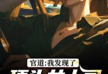 官道:我发现了顶头女上司的秘密完整版小说,官道:我发现了顶头女上司的秘密徐青胡丽娜全章小说阅读-维C文学