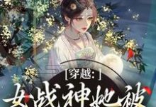 (全文)穿越：女战神她被尊主俘获了（云澜夜无溟）试读更新章节穿越：女战神她被尊主俘获了免费小说-维C文学