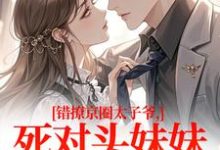 (全文)错撩京圈太子爷，死对头妹妹成真爱（叶清璃段鹤野）免费小说错撩京圈太子爷，死对头妹妹成真爱试读更新章节-维C文学