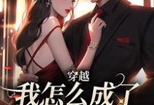 (全文)穿越：我怎么成了大佬的白月光(乔曼傅沉舟)全本免费在线阅读-维C文学