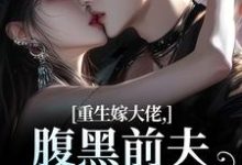 重生嫁大佬,腹黑前夫追妻火葬场林疏桐贺霆屿免费小说重生嫁大佬,腹黑前夫追妻火葬场推荐完结小说-维C文学