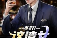 不好!这渣女要虐死了顾迟云云晚晚免费小说不好!这渣女要虐死了推荐完结小说-维C文学