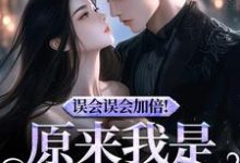 (全文)误会误会加倍!原来我是他的挚爱(宁穗季晏辞)试读更新章节误会误会加倍!原来我是他的挚爱免费小说-维C文学