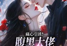 藏心引诱!腹黑大佬暗宠作精美人周旻单念免费小说藏心引诱!腹黑大佬暗宠作精美人推荐完结小说-维C文学