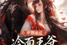 (全文)卑微求爱:冷面王爷只为她轻哄免费小说全本,苏如卿赫连渊试读更新章节-维C文学