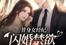 替身女经纪,闪婚禁欲大佬虐渣男黎湘霍斯然热门小说排行榜替身女经纪,闪婚禁欲大佬虐渣男免费小说-维C文学