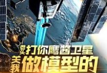 (全文)老头打你鹰酱卫星,关我做模型的什么事秦阳完结小说推荐老头打你鹰酱卫星,关我做模型的什么事试读更新章节-维C文学
