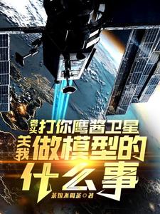 (全文)老头打你鹰酱卫星，关我做模型的什么事秦阳完结小说推荐老头打你鹰酱卫星，关我做模型的什么事试读更新章节