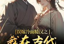误嫁冷面糙汉之我在古代当小媳妇完整版小说误嫁冷面糙汉之我在古代当小媳妇(苏琴岑殷闵)全章小说阅读-维C文学