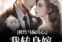 被竹马骗真心，我转身嫁豪门继承人（沈念希傅斯礼）全章小说阅读-维C文学