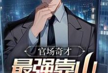 (全文)官场：被贬后，我强大身世曝光（李霖）全本书籍阅读官场：被贬后，我强大身世曝光免费小说全本-维C文学
