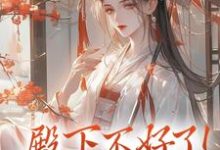 殿下不好了!娘娘她私逃了最新完结小说殿下不好了!娘娘她私逃了夕颜萧南晏免费小说-维C文学