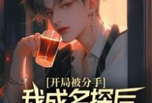 开局被分手,我成名探后前女友后悔了(江风董强)全本书籍阅读开局被分手,我成名探后前女友后悔了完整版小说-维C文学