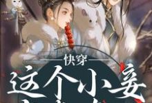 (全文)快穿：这个小妾有点东西，但是不多热门小说排行榜，快穿：这个小妾有点东西，但是不多阮娇玉江凌川全章小说阅读-维C文学